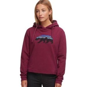 patagonia women's fitz roy bear uprisal hoody